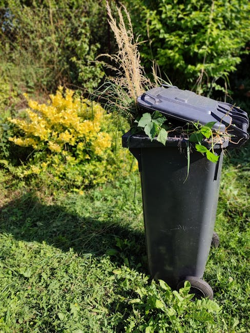 A black plastic wheeled rubbish bin positioned outdoors on a grassy area, filled with garden waste including green leafy branches, tall dried grasses, and small twigs. The bin's lid is partially open, and some waste is leaning against the sides. Surrounding the bin are various green plants and bushes, with a prominent yellow flowering shrub in the background. The scene appears to be in a garden or backyard setting, suggesting it is part of an on-site garden waste removal process. Natural sunlight illuminates the scene, highlighting the different textures and vibrant green colors of the plants, with shadows cast on the grass beneath. This image exemplifies typical waste management for garden debris, which companies like Rubbish Removal Ilford may handle through private collection or on-site clearance, offering a visual context for alternative rubbish disposal options in the Ilford area.