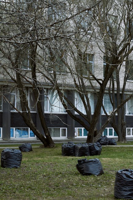 A black plastic wheeled rubbish bin positioned outdoors on a grassy area, filled with garden waste including green leafy branches, tall dried grasses, and small twigs. The bin's lid is partially open, and some waste is leaning against the sides. Surrounding the bin are various green plants and bushes, with a prominent yellow flowering shrub in the background. The scene appears to be in a garden or backyard setting, suggesting it is part of an on-site garden waste removal process. Natural sunlight illuminates the scene, highlighting the different textures and vibrant green colors of the plants, with shadows cast on the grass beneath. This image exemplifies typical waste management for garden debris, which companies like Rubbish Removal Ilford may handle through private collection or on-site clearance, offering a visual context for alternative rubbish disposal options in the Ilford area.