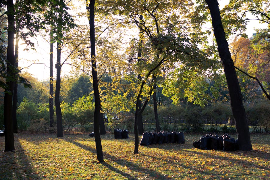 A row of four wooden outdoor waste bins with hinged flat roofs, positioned on a grassy area in front of a slight hillside with trees and foliage. The bins are weathered, dark-stained, and made of vertical wooden planks, each secured with metal hinges and locks. The leftmost bin has a green plastic bag filled with empty plastic bottles, some with transparent labels visible. In front of the bins, there are various discarded items including a white pizza box, plastic bottles, glass bottles, a black bag, and some miscellaneous waste, all loosely arranged on the grass. The background features a sloping hillside with patches of grass, small plants, and trees, casting natural daylight across the scene. The overall environment appears to be an outdoor area used for waste disposal, with evidence of littering indicative of non-official rubbish collection, aligning with services such as those offered by Rubbish Removal Ilford for private waste handling and on-site clearance.